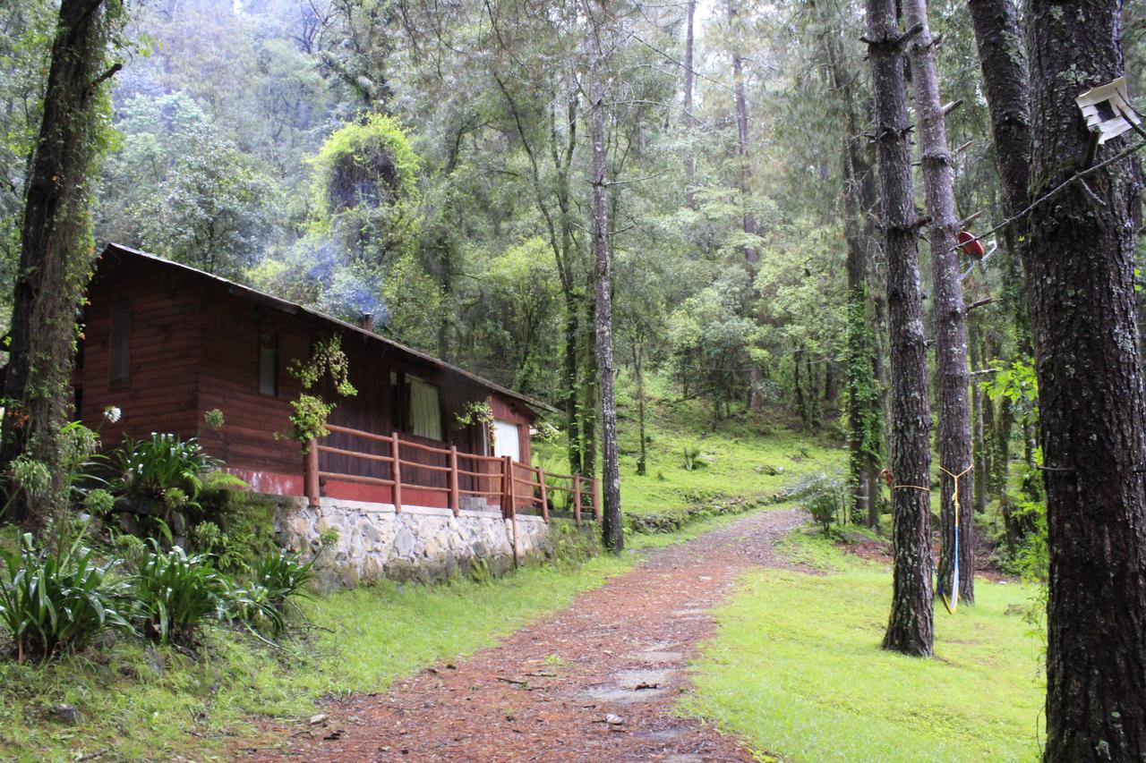 Cabanas Alpinas Lopez Fontes Valle de Bravo Exterior photo